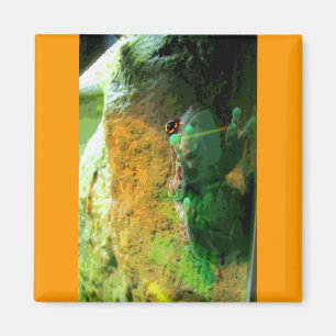 Íman CB de escalada do sapo