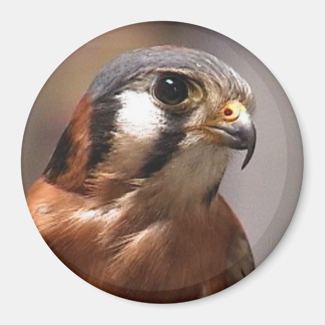 Íman cd2 017 (Frente)