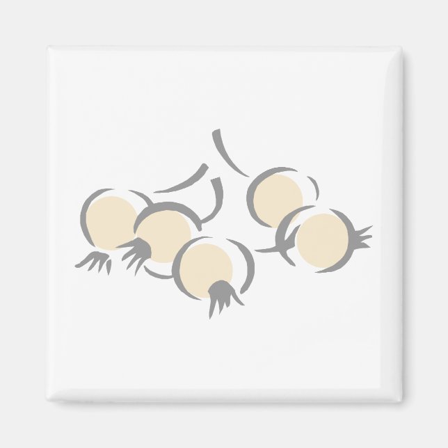 Íman Cebolas (Frente)