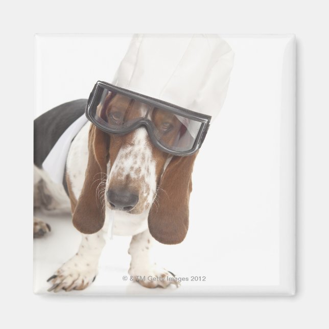 Íman Cecelia Erhart (Frente)