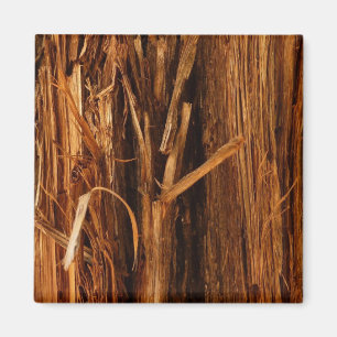 Íman Cedar Textura de Latido de Madeira