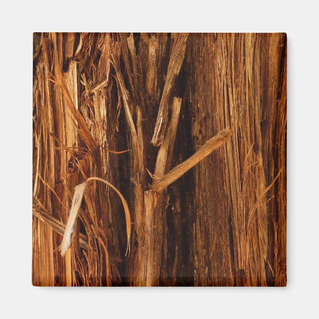 Íman Cedar Textura de Latido de Madeira (Frente)