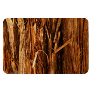 Íman Cedar Textura de Latido de Madeira