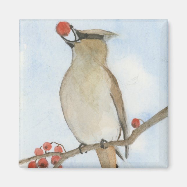 Íman Cedar Waxwing (Frente)
