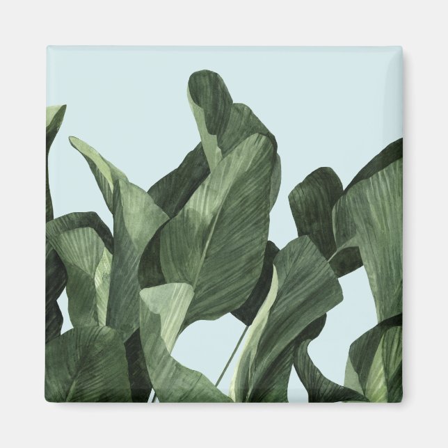 Íman Celadon Palms (Frente)