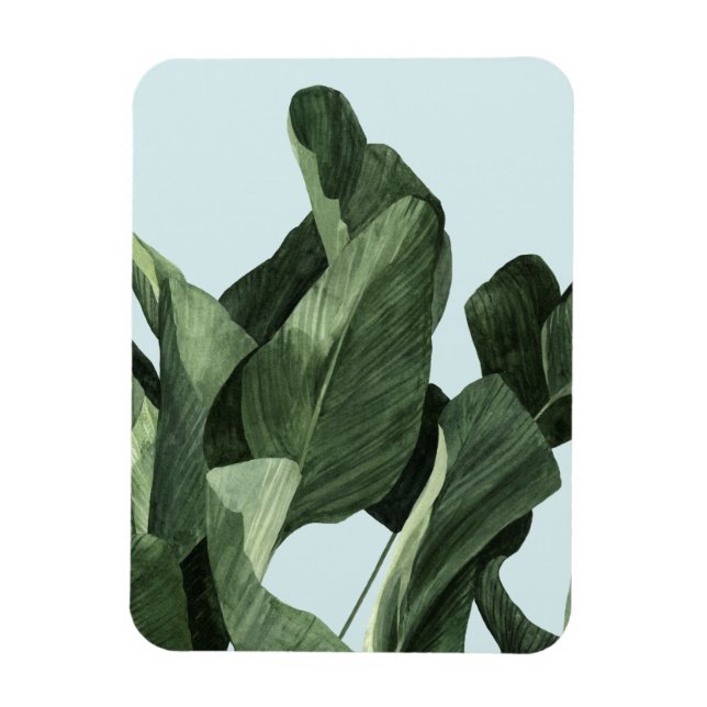 Íman Celadon Palms (Vertical)