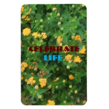 Celebração da vida - ímã flexível