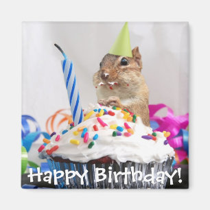 Íman celebração do aniversário do chipmunk