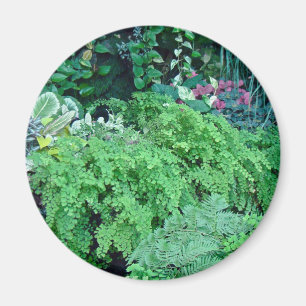 Íman Cem máscaras de Verde-Verde são bonitas