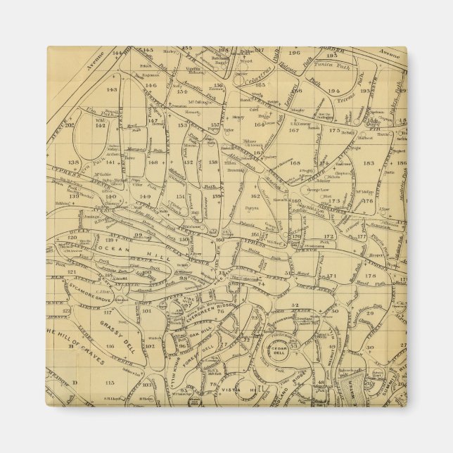 Íman Cemitério de madeira verde (Frente)