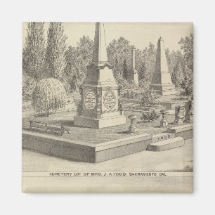 Íman Cemitério de Sacto, res Woodland