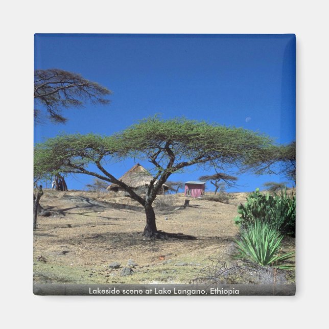 Íman Cena ao lado de Lakeside Langano, Etiópia (Frente)