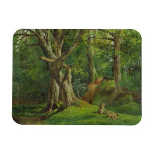 Íman Cena com coelhos, 1862 da floresta (óleo em
