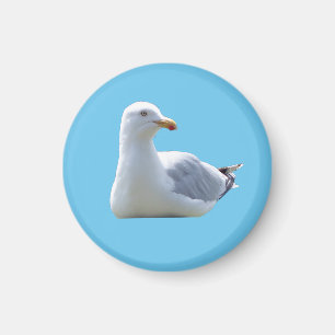 Íman Cena Costeira Azul Calma com uma Gaivota Fofa Desc