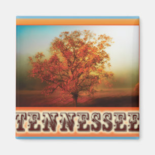 Íman Cena da árvore da queda de Tennessee