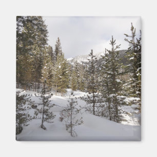 Íman Cena da Montanha Snowy de inverno em Montana