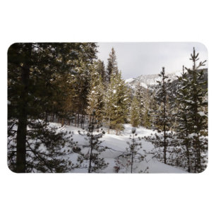 Íman Cena da Montanha Snowy de inverno em Montana