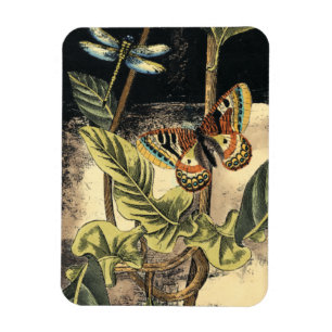 Íman Cena da Natureza Escura pelo Vision Studio