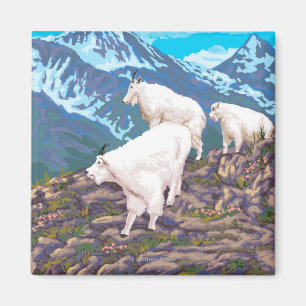 Íman Cena das cabras de montanha - Yellowstone