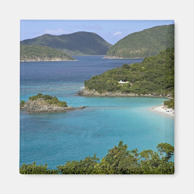 Íman Cena de Caneel Bay de uma estrada na Rua. (Frente)