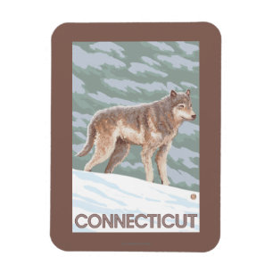 Íman Cena de ConnecticutWolf