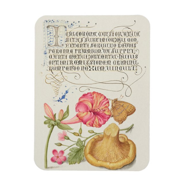 Íman Cena de jardim com flores, borboleta e cogumelo (Vertical)