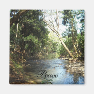 Íman Cena de Paz na Natureza