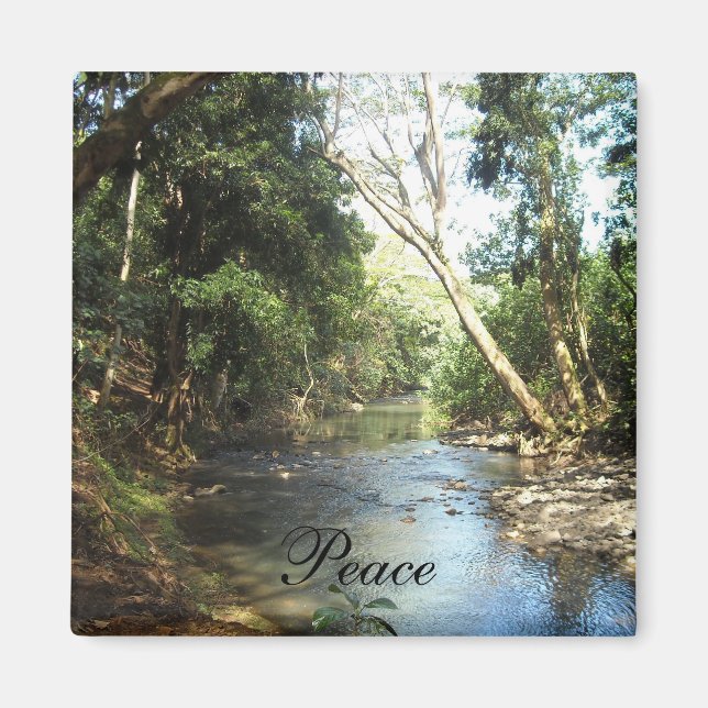 Íman Cena de Paz na Natureza (Frente)