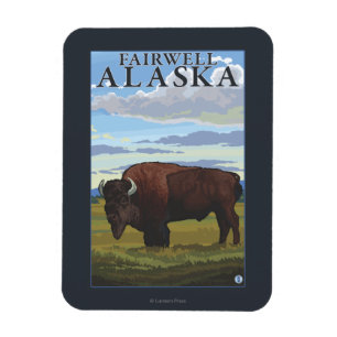 Íman Cena do bisonte - Fairwell, Alaska