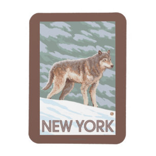 Íman Cena nova de YorkWolf