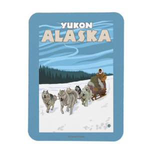 Íman Cena Sledding do cão - Yukon, Alaska