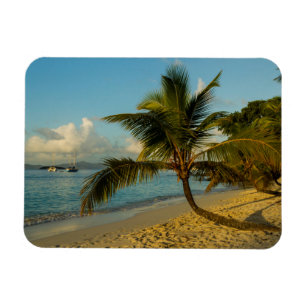 Íman Cenário de praia