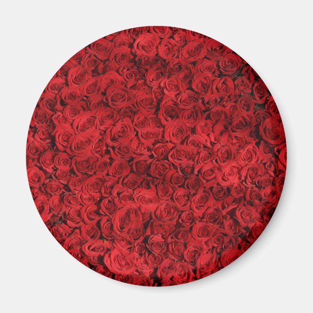 Íman Centenas de Rosas vermelhas bonitas (Frente)
