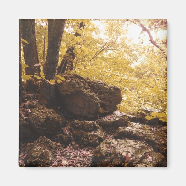 Íman central estadual de backbone iowa (Frente)