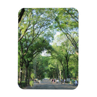 Íman Central Park: A Marcha do Poeta no Verão