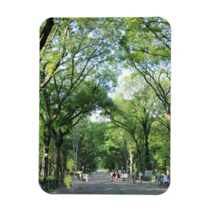 Íman Central Park: Caminhada do Poeta no Verão