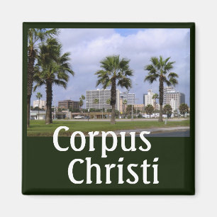 Íman Centro Corpus Christi Texas Souvenir