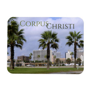 Íman Centro Corpus Christi Texas Souvenir Magnet