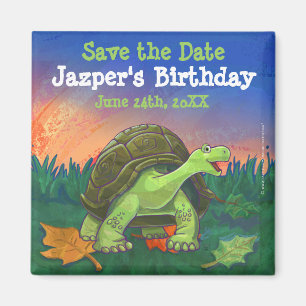 Íman Centro do Partido Tortoise