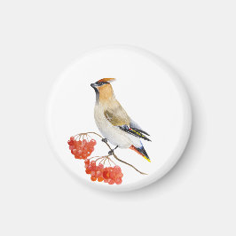 Íman Cera de aves da floresta aquosa