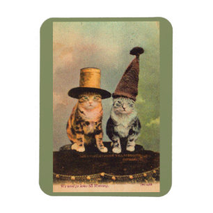 Íman cerca de 1900 gatos nos chapéus RPPC