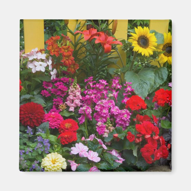 Íman Cerca de estacas amarelas com jardim de flores em (Frente)