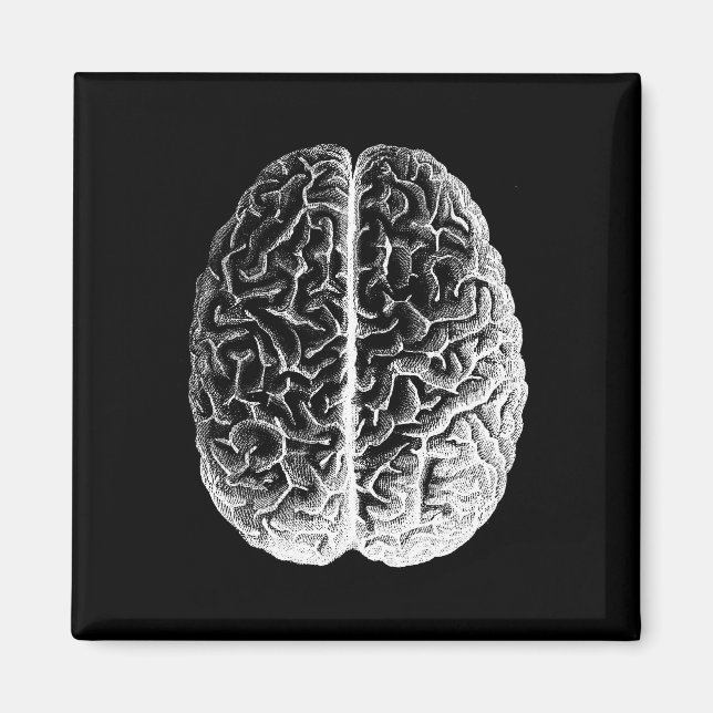 Íman Cérebros! (Frente)