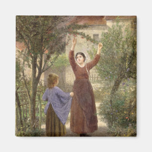 Íman Cerejas da colheita