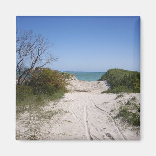 Íman Cervantes WA Magnet