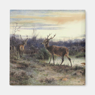 Íman Cerveja na Floresta de Fontainebleau (Rosa Bonheur