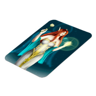 Íman Ceschiia VBM Magnet