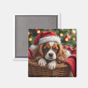 Íman Cesta Aconchegante do Cavalier King Charles Spanie