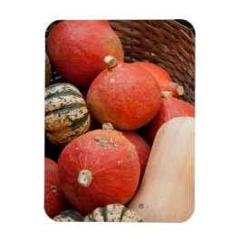 Íman Cesta de abóboras