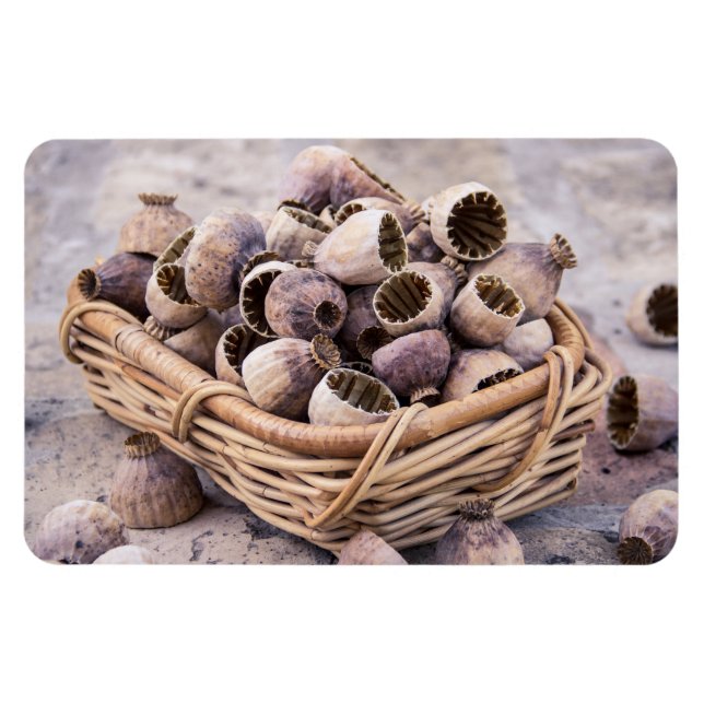 Íman Cesto de Sementes de Pop-papoila Secas (Horizontal)